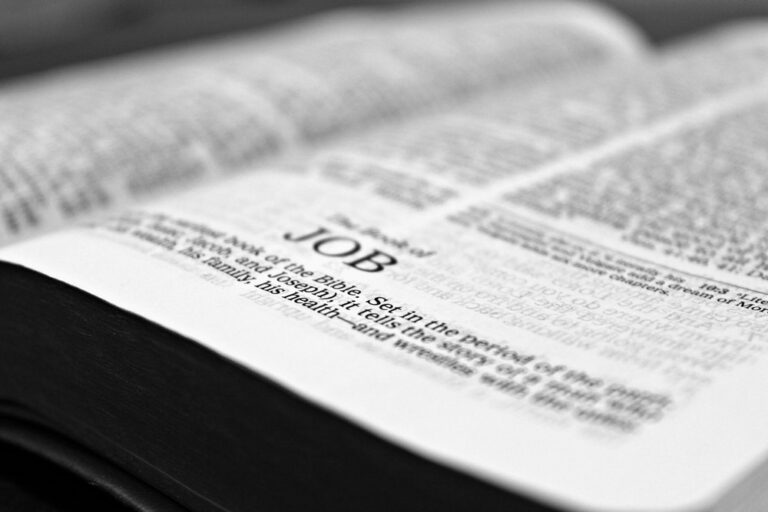 no bible errors